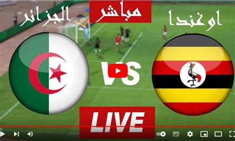 مباراة الجزائر اوغندا مباشر